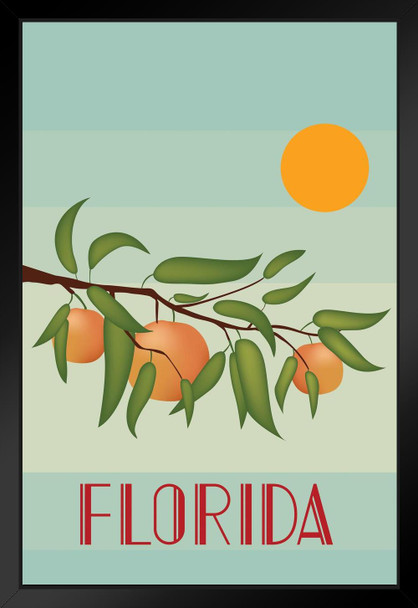 Retro Style Florida Oranges Sunshine State Miami Palm Beach Travel Beach Sunset Landscape Pictures Ocean Scenic Scenery Tropical Nature Photography Paradise Black Wood Framed Art Poster 14x20