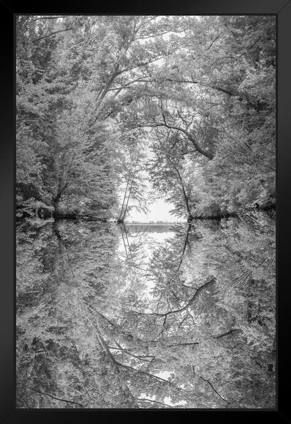 Reflection of Tree Branches in River Photo Poster Black White Photograph Nature Water Branches Hanging Landscape Black Wood Framed Art Poster 14x20