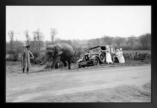 Heave Ho Elephant Pulling Car Out Of Ditch B&W Photo Black Wood Framed Art Poster 20x14