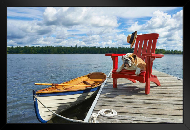 Dog Relaxing in Adirondack Chair on Wooden Dock by Lake Photo Art Print Black Wood Framed Poster 20x14