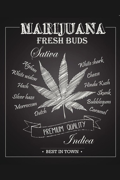 Marijuana Fresh Buds Premium Quality Chalkboard Art Print Cool Huge Large Giant Poster Art 36x54