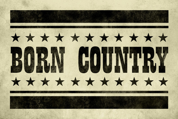 Born Country Vintage Tan Cool Wall Art Print Poster 12x18