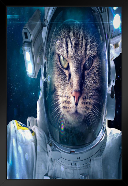 Cat in Space Funny Outer Space Cat Poster Funny Wall Posters Kitten Posters for Wall Motivational Cat Poster Funny Cat Poster Inspirational Cat Poster Black Wood Framed Art Poster 14x20