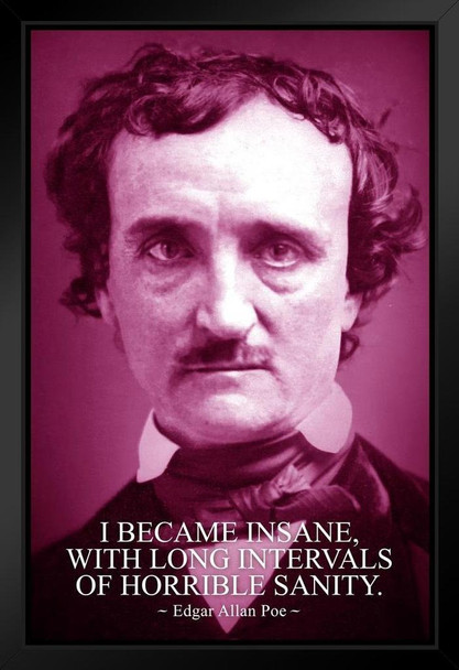 Edgar Allan Poe I Became Insane With Long Intervals of Horrible Sanity Photo Purple Black Wood Framed Art Poster 14x20
