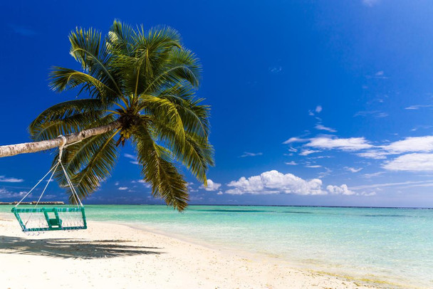 Palm Tree and Swing on Beautiful Maldives Beach Photo Art Print Cool Huge Large Giant Poster Art 54x36