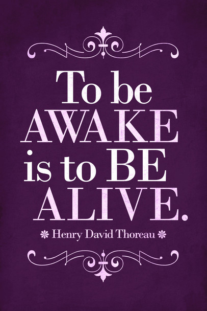 Henry David Thoreau To Be Awake Is To Be Alive Purple Cool Wall Art Print Poster 12x18