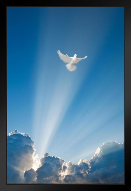 Flying Dove and Clouds Spiritual Black Wood Framed Art Poster 14x20