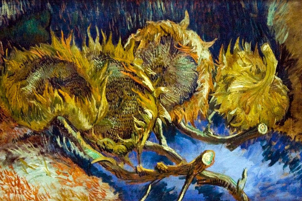 Vincent Van Gogh Four Sunflowers Gone to Seed Van Gogh Wall Art Impressionist Painting Style Nature Spring Flower Wall Decor Vase Bouquet Poster Romantic Artwork Cool Huge Large Giant Poster Art 54x36
