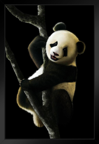 Juvenile Giant Panda Artwork Animal Kids Room Baby Nursery Asia Bear Poster Bear Picture of a Bear Posters for Wall Bear Print Wall Art Bear Pictures Wall Decor Black Wood Framed Art Poster 14x20