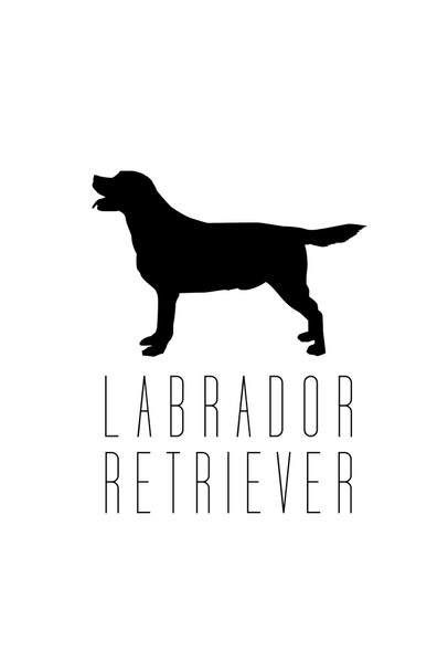 Dogs Labrador Retriever Lab White Dog Posters For Wall Funny Dog Wall Art Dog Wall Decor Dog Posters For Kids Bedroom Animal Wall Poster Cute Animal Posters Cool Wall Art Print Poster 12x18
