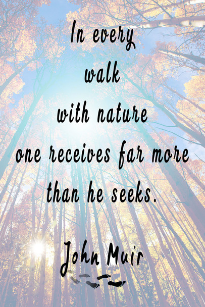In Every Walk With Nature One Receives Far More Than He Seeks John Muir Famous Motivational Inspirational Quote Cool Wall Art Print Poster 12x18