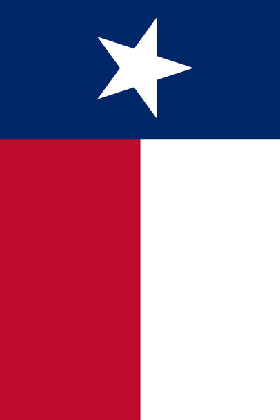 Texas Flag Poster For Wall TX Cool Wall Art Print Poster 12x18