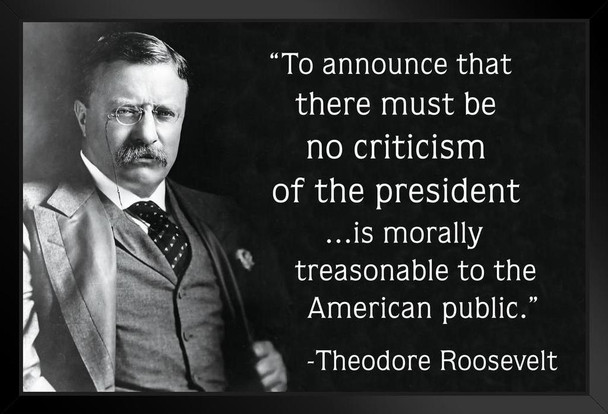 Theodore Roosevelt Criticism of the President Famous Motivational Inspirational Quote Black Wood Framed Art Poster 14x20