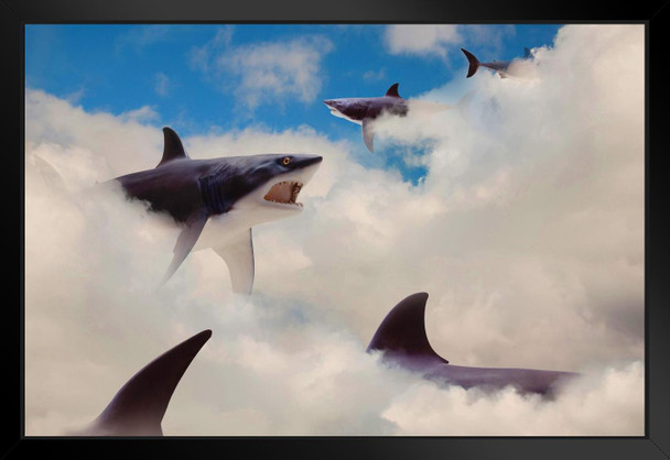 Sharks Floating in Clouds Fin Fantasy Shark Posters For Walls Shark Pictures Cool Great White Shark Picture Great White Shark Art Great White Shark Jaws Black Wood Framed Art Poster 20x14