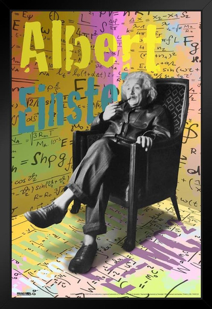 Albert Einstein Pop Black Wood Framed Art Poster 14x20