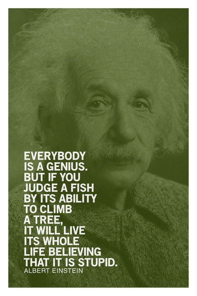 Albert Einstein Everybody Is A Genius Motivational Green Quote Cool Wall Decor Art Print Poster 12x18