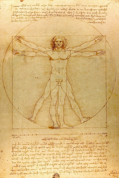 Leonardo Da Vinci Vitruvian Man Poster Drawing Circa 1490 Human Body Sketch Renaissance Italy Cool Wall Decor Art Print Poster 12x18