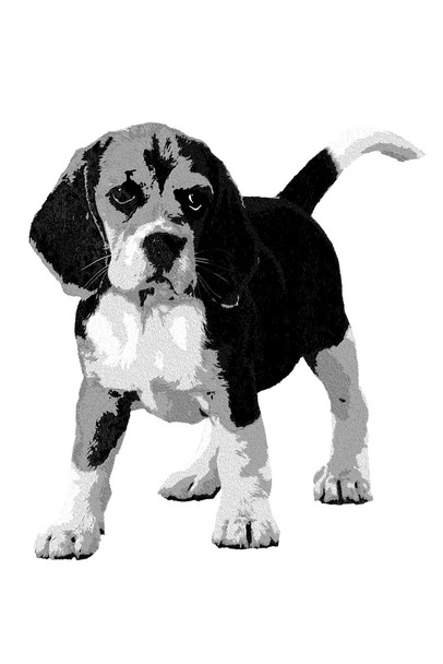 Dogs Beagles Painting White Background Dog Posters For Wall Funny Dog Wall Art Dog Wall Decor Dog Posters For Kids Bedroom Animal Wall Poster Cute Animal Posters Cool Wall Art Print Poster 12x18