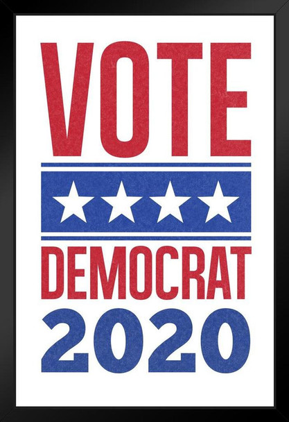 Vote Democrat 2020 Star Banner White Black Wood Framed Art Poster 14x20