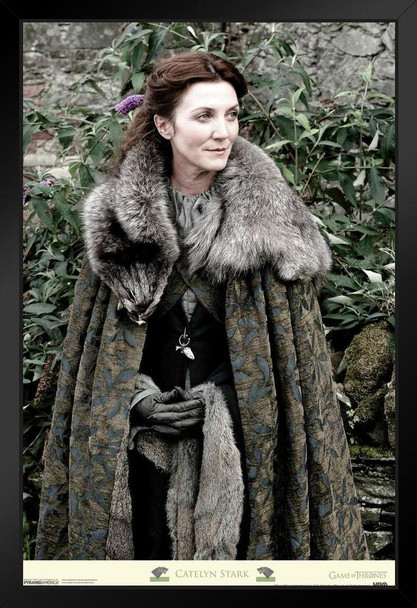 Game of Thrones Catelyn Stark HBO Television Black Wood Framed Art Poster 14x20