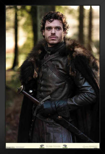 Game of Thrones Robb Stark HBO Television Black Wood Framed Poster 14x20