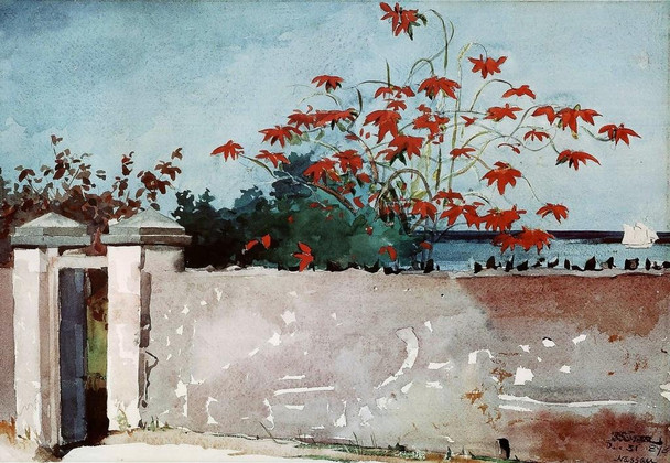 Winslow Homer A Wall Nassau 1898 Watercolor And Graphite Drawing Cool Wall Art Print Poster 36x24