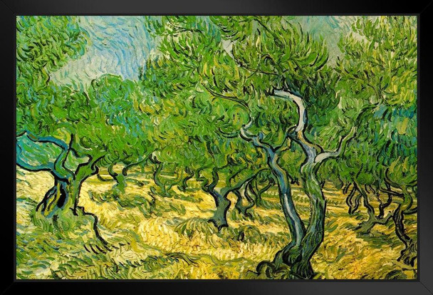 Vincent Van Gogh Olive Orchard Van Gogh Wall Art Impressionist Painting Style Nature Spring Flower Wall Decor Landscape Vase Bouquet Poster Romantic Artwork Black Wood Framed Art Poster 20x14