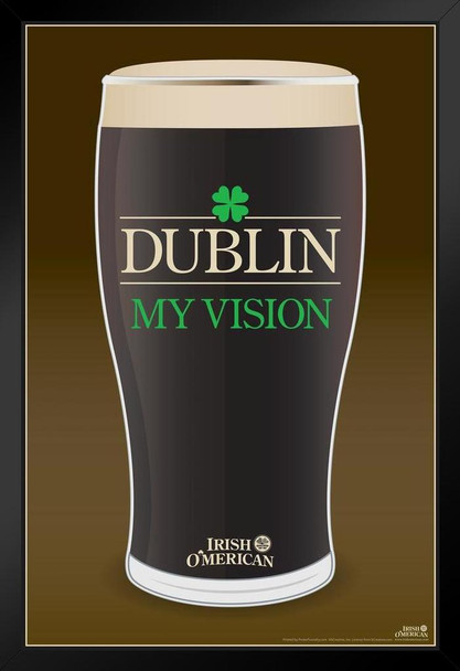 Dublin My Vision Irish OMerican Funny Black Wood Framed Poster 14x20