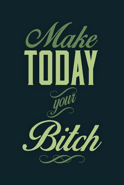 Make Today Your Bitch Green Cool Huge Large Giant Poster Art 36x54