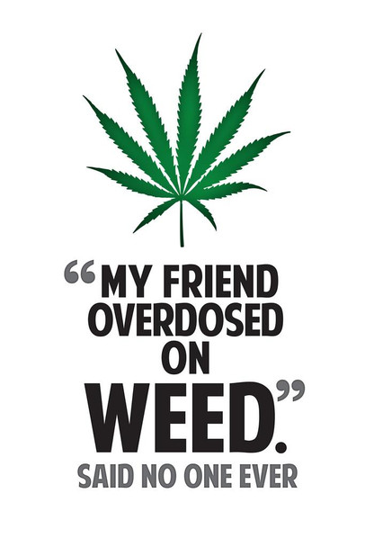 Marijuana My Friend Overdosed On Weed Said No One Ever College Humor Cool Wall Art Print Poster 24x36