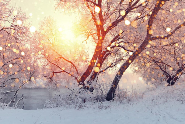 Snowy Christmas Morning Snowflakes in Trees Landscape Photo Cool Huge Large Giant Poster Art 54x36