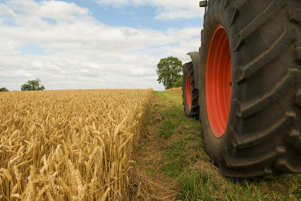 Vintage Tractor Wheels in Field of Wheat Photo Art Print Cool Huge Large Giant Poster Art 54x36