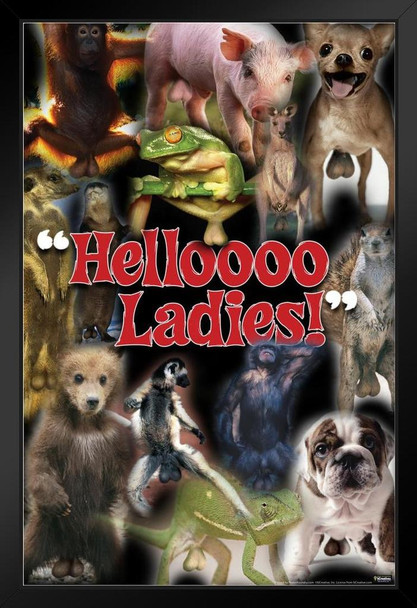 Helloooo Ladies! Animals Humor Black Wood Framed Poster 14x20