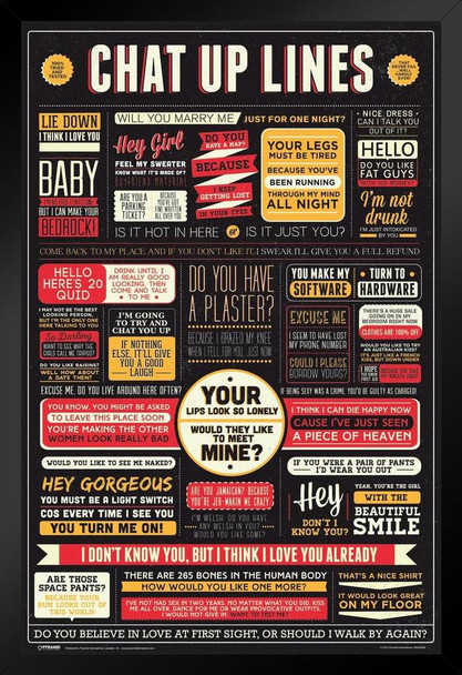 Chat Up Lines Humor Black Wood Framed Art Poster 14x20