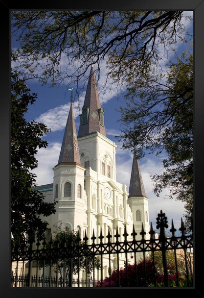 Saint Louis Cathedral Through The Trees Photo Art Print Black Wood Framed Poster 14x20