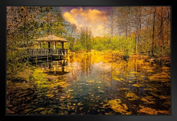 The Pond by Chris Lord Photo Photograph Black Wood Framed Art Poster 14x20