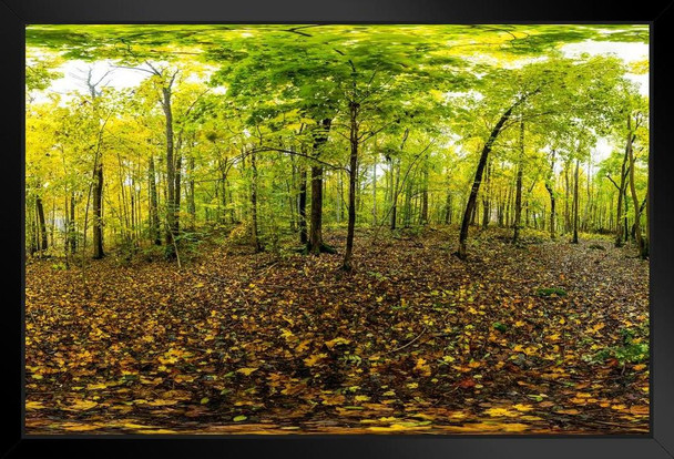 Autumn in Forests of Norway 360 Degree Panorama Photo Art Print Black Wood Framed Poster 20x14