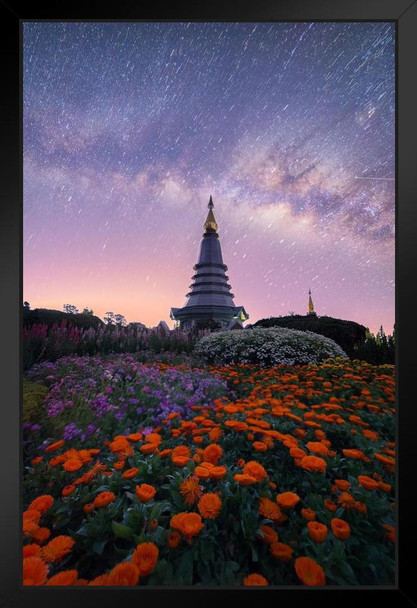 The Milky Way and Garden with Buddha Relics Photo Art Print Black Wood Framed Poster 14x20