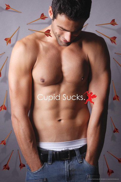 Cupid Sucks Humor Cool Huge Large Giant Poster Art 36x54