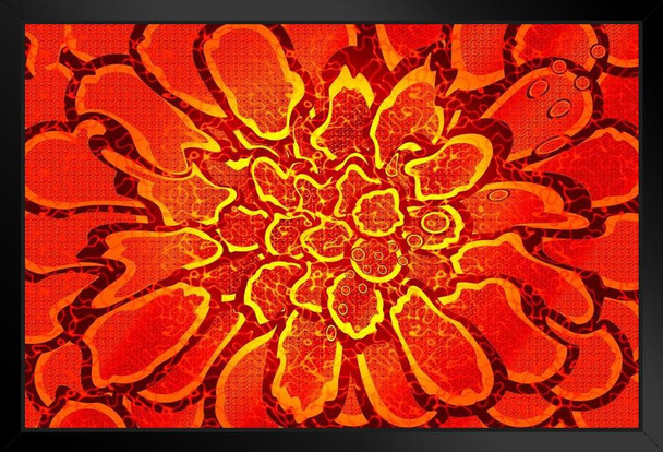 Psychedelic Flower Multi Colored Art Print Black Wood Framed Poster 20x14