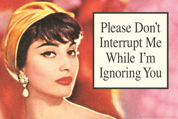 Please Dont Interrupt Me While Im Ignoring You Humor Cool Huge Large Giant Poster Art 54x36