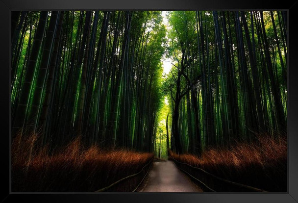 Footpath Through Bamboo Forest in Arashiyama Japan Photo Art Print Black Wood Framed Poster 20x14