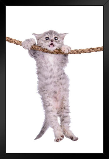 Kitten Hanging Onto Rope Hang in There Cat Poster Funny Wall Posters Kitten Posters for Wall Motivational Cat Poster Funny Cat Poster Inspirational Cat Poster Black Wood Framed Art Poster 14x20