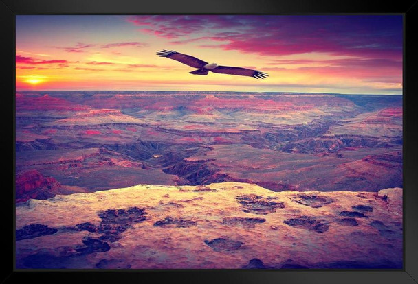 Eagle Flying Over Grand Canyon National Park Photo Art Print Black Wood Framed Poster 20x14