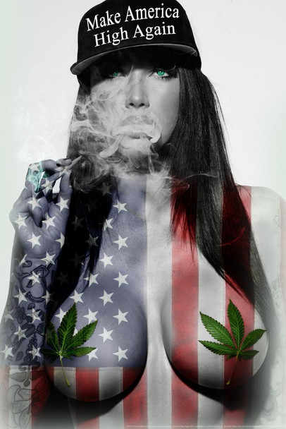 Make America High Again BW by Daveed Benito Cool Wall Art Print Poster 24x36