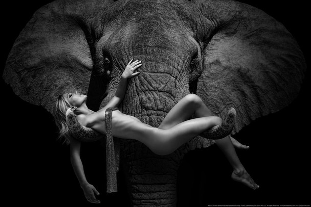 Tusks by Daveed Benito African Elephant Wall Art Elephant Posters For Wall Elephant Art Print Elephants Wall Decor Photo of Elephant Tusks Model Woman Nude Cool Wall Art Print Poster 36x24