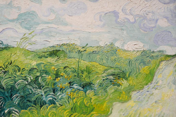 Laminated Vincent Van Gogh Field with Green Wheat Van Gogh Wall Art Impressionist Painting Style Nature Spring Flower Wall Decor Landscape Field Forest Romantic Artwork Poster Dry Erase Sign 18x12