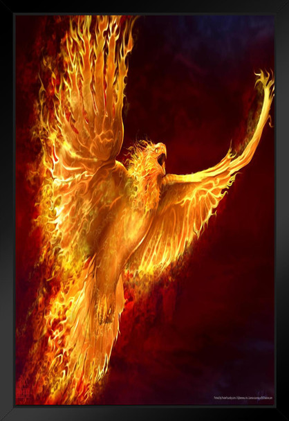 Laminated Phoenix Rising Flaming Eagle by Tom Wood Fantasy Poster Bird On Fire Like Dragon Magical Mystical Animal Creature Poster Dry Erase Sign 12x18