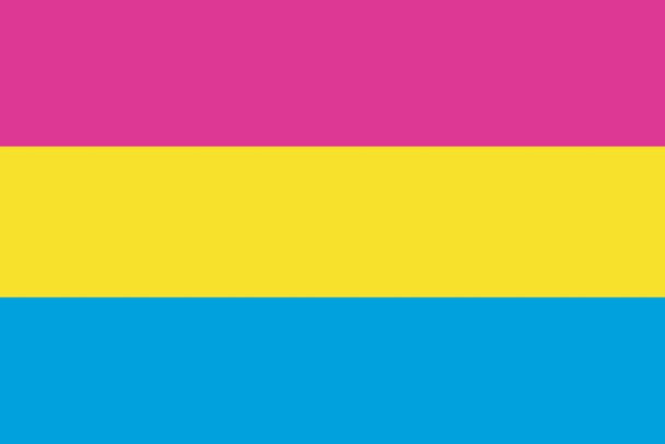 Laminated Pansexual Pride Flag Poster Dry Erase Sign 12x18