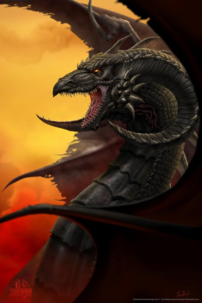 Laminated Scourge Dragon Tom Wood Fantasy Art Poster Dry Erase Wall Art 12x18
